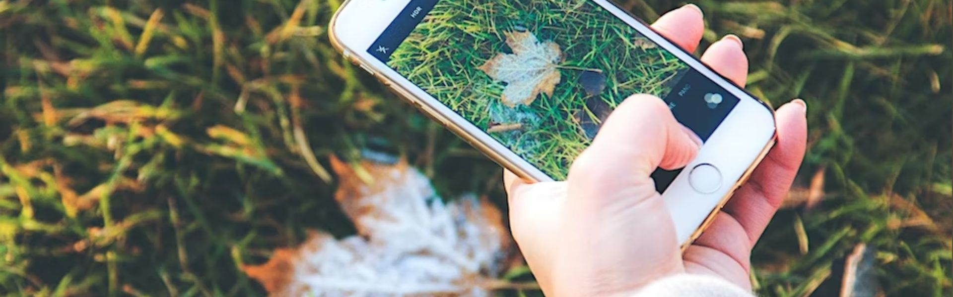 Festival Parco Colline 2023 – 8 aprile