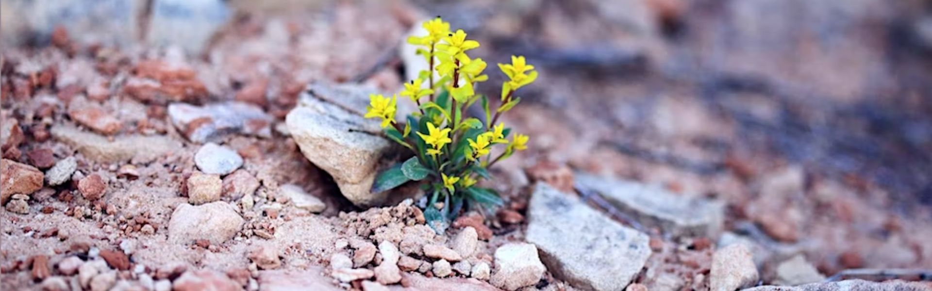 Festival Parco Colline 2023 – 16 aprile mattina