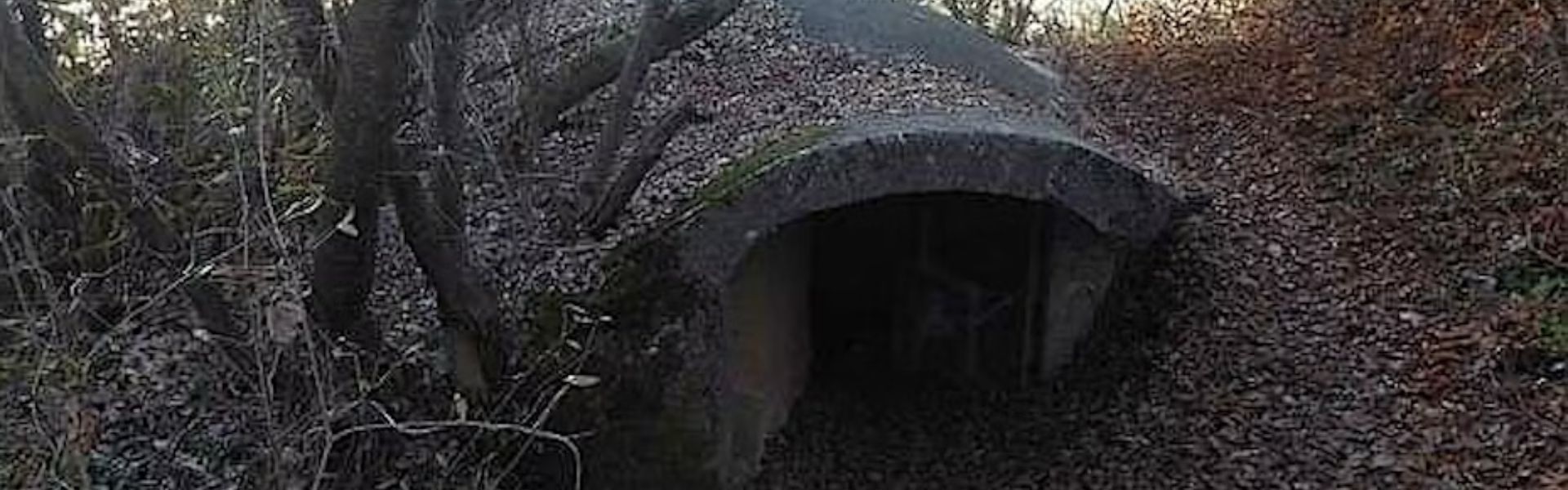 Festival Parco delle Colline – 28 aprile