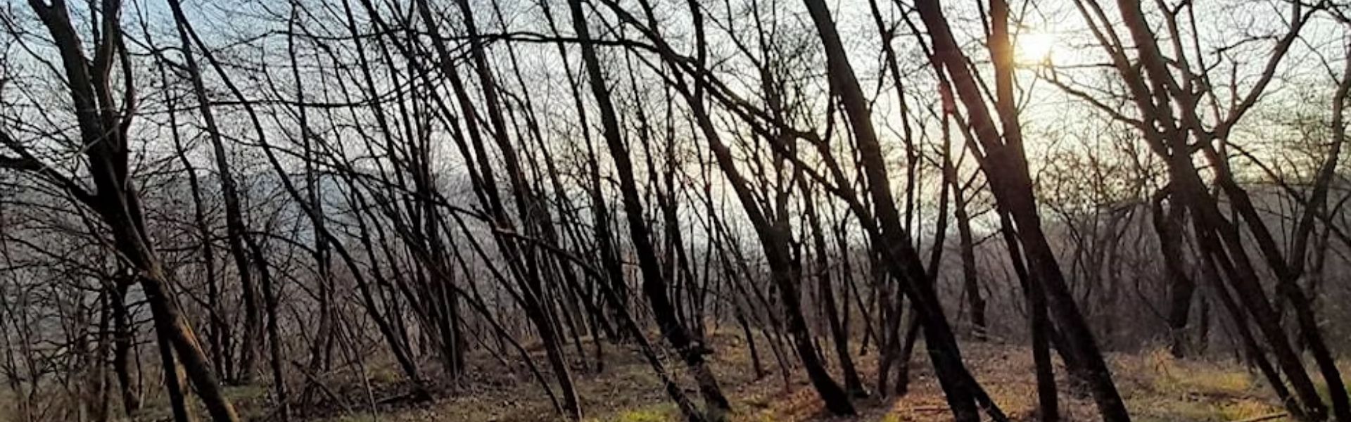 Festival Parco Colline 2023 – 23 aprile (pomeriggio)