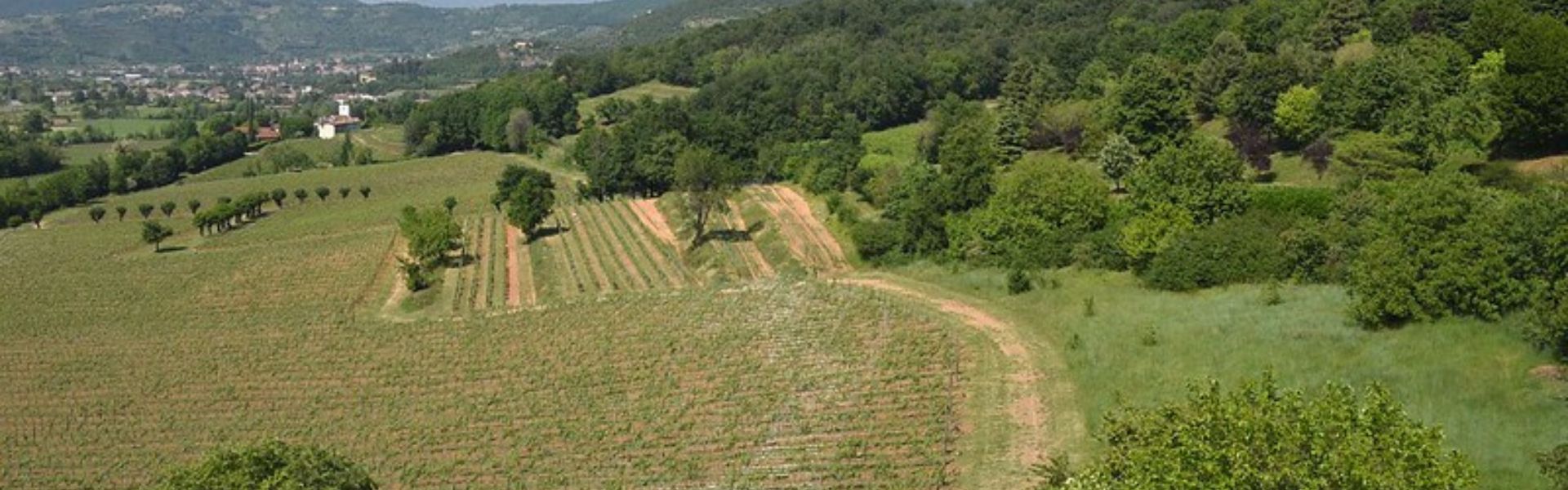 Festival Parco delle Colline - 9 maggio