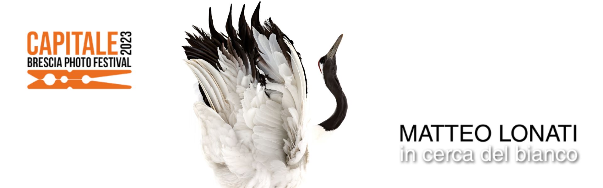 BPhF 2023 - In cerca del bianco