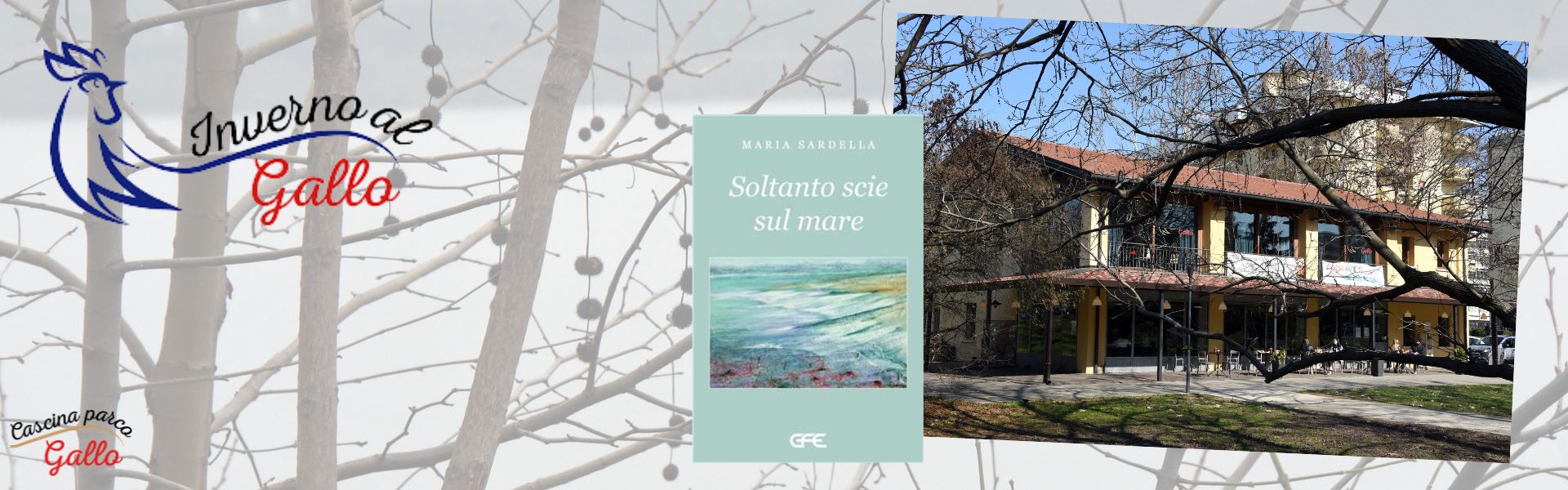 Inverno al gallo - 26 gennaio