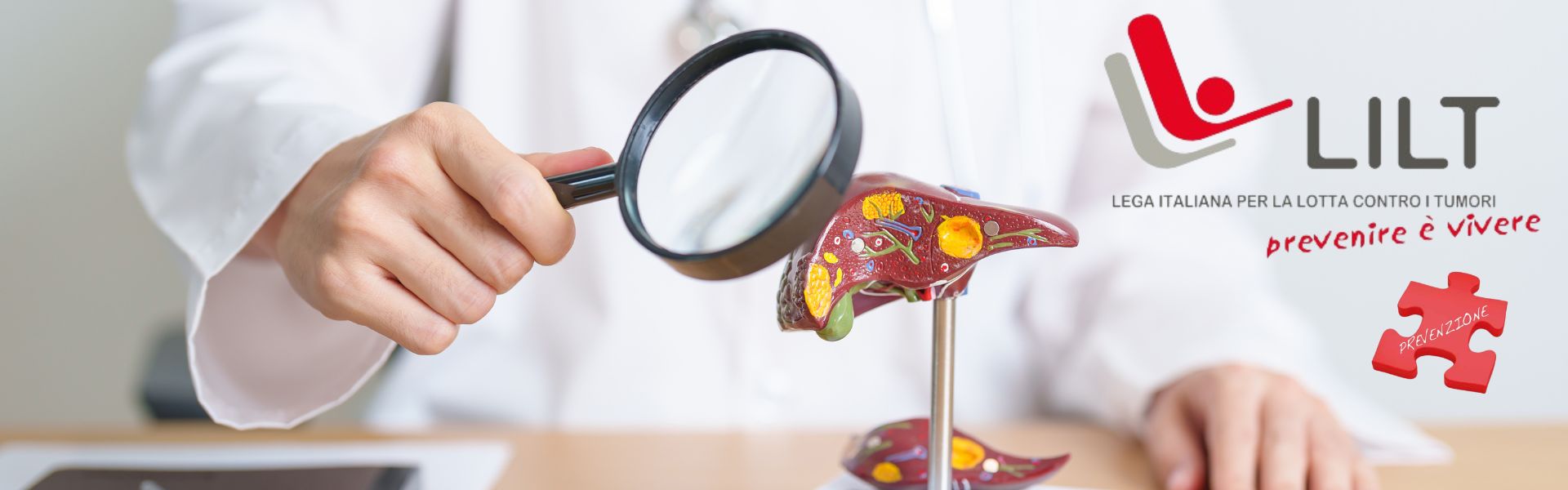 LILT fegato