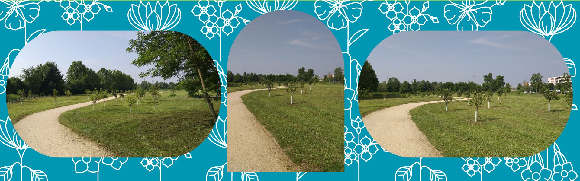 Frutteto Urbano di Sanpolino