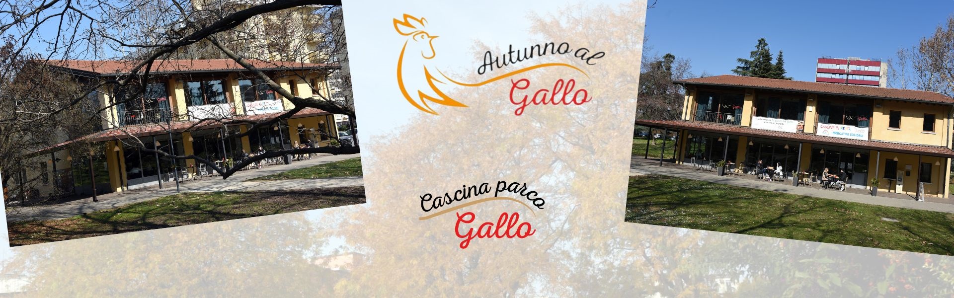Autunno al gallo 2024
