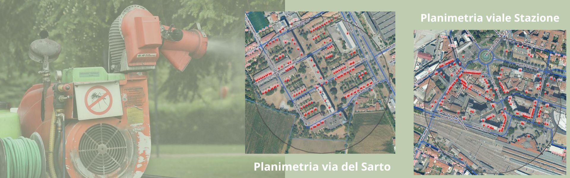 Zanzara tigre - 20 settembre 2024