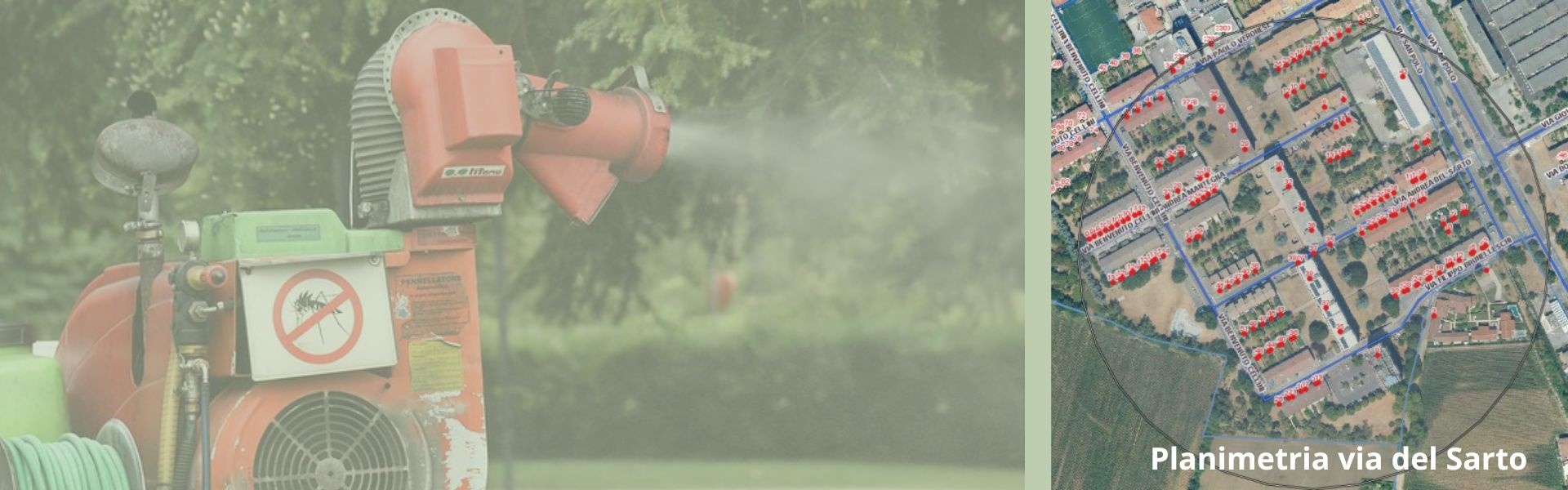 Zanzara tigre 21 settembre 2024