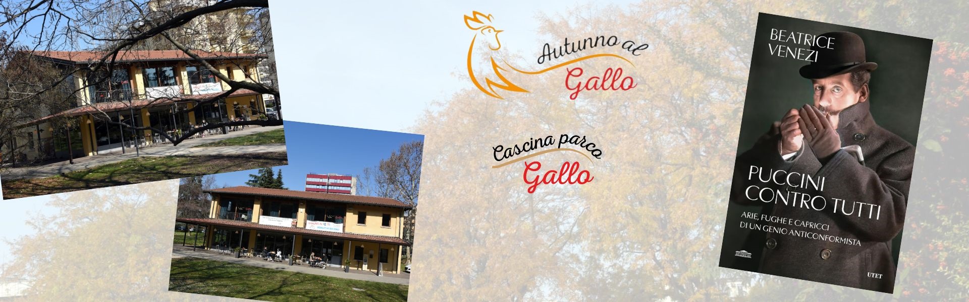 Autunno al gallo 2024 - 12 ottobre
