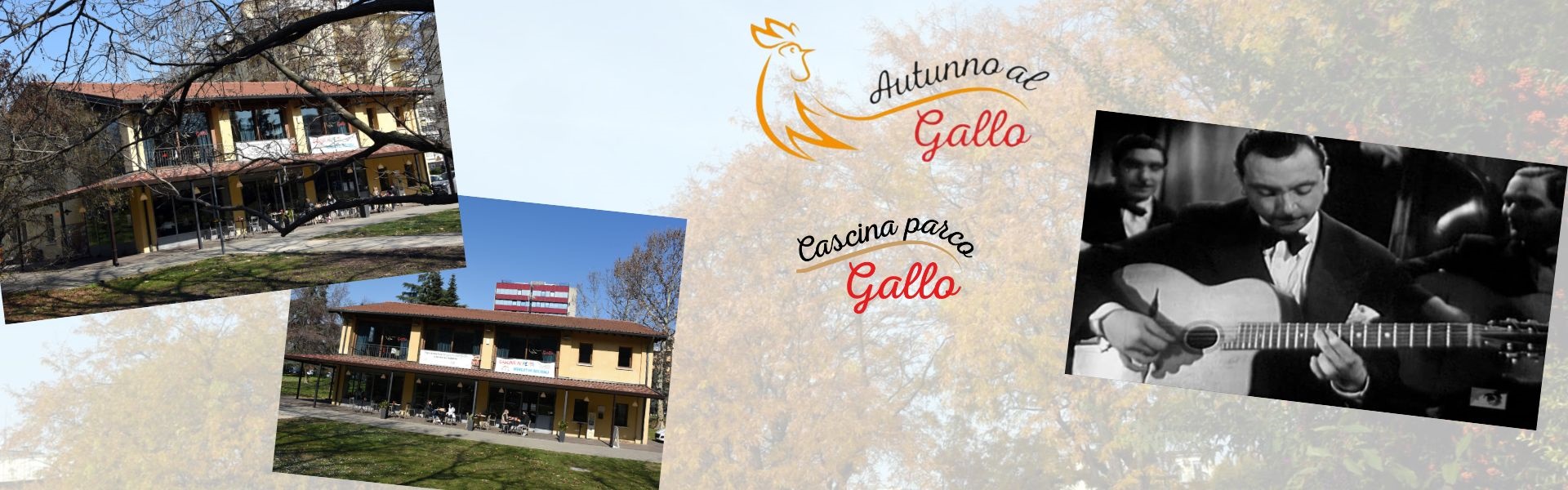 Autunno al gallo 2024 - 17 ottobre