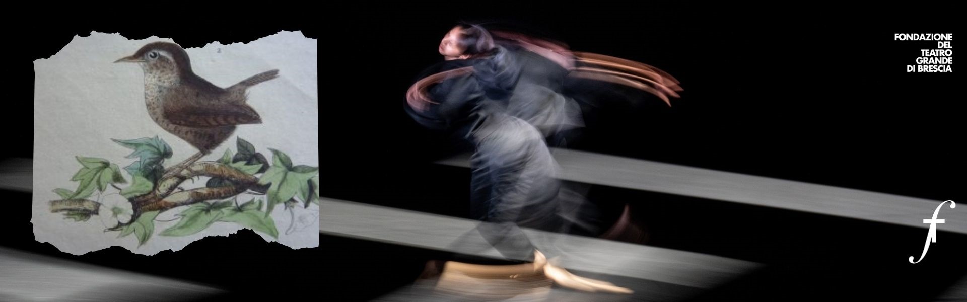 Stagione Teatro Grande 2024 - 23 ottobre