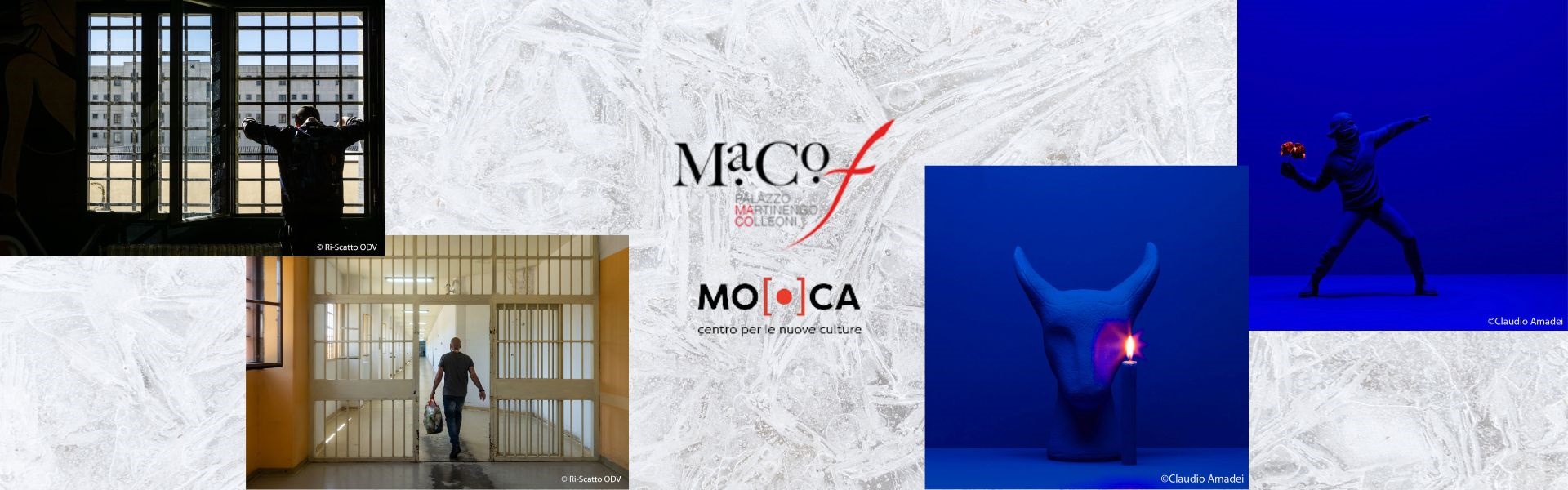 Mostre Macof - 26 novembre - 22 dicembre
