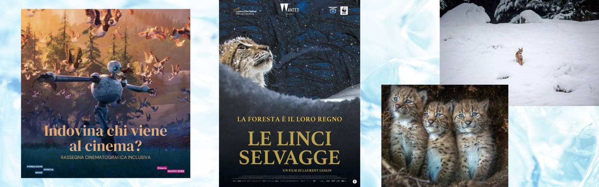 CNE 2025 - Indovina chi viene al cinema - 5 marzo