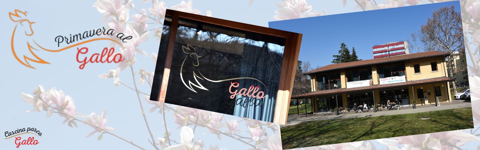 Primavera al gallo 2025