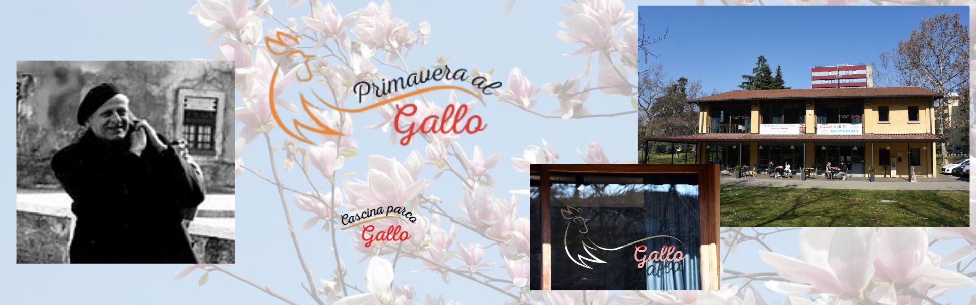 Primavera al gallo 2025 - 21 marzo