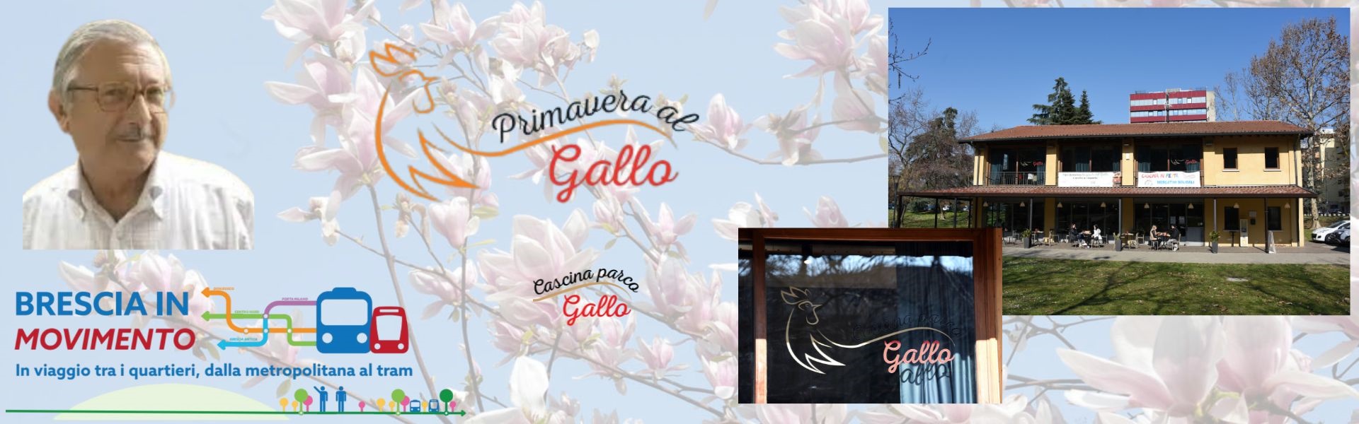 Primavera al gallo 2025 