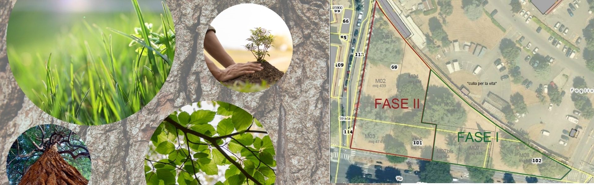 Bonifica Via Pietro Dal Monte. 2ª fase