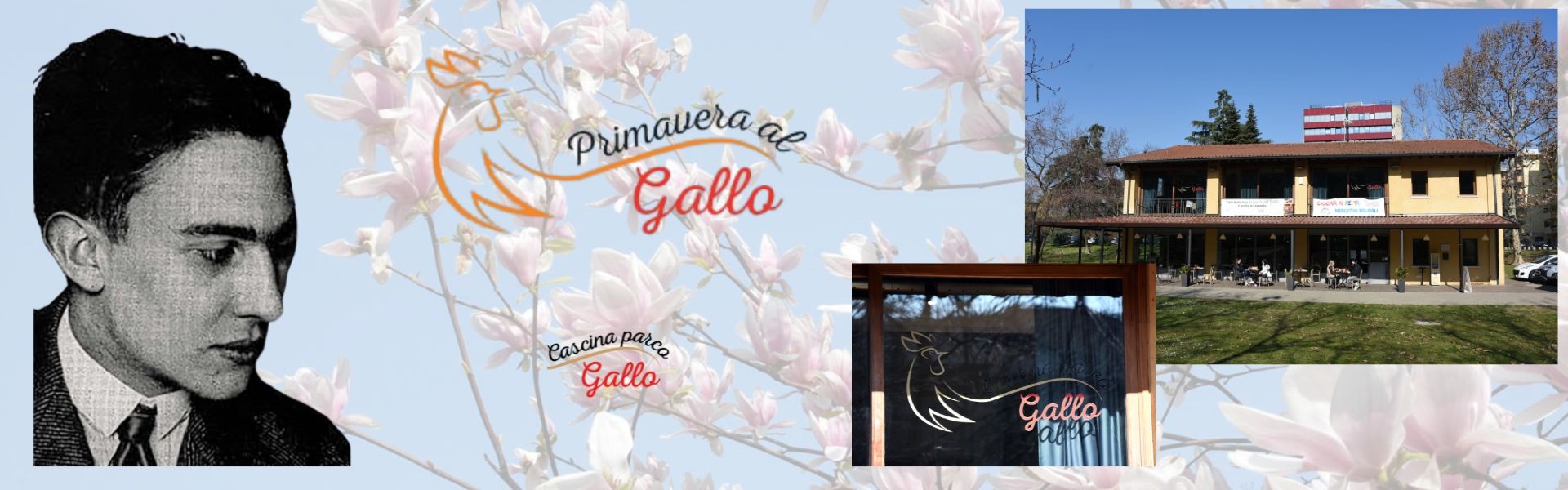Primavera al gallo 2025 - 10 aprile