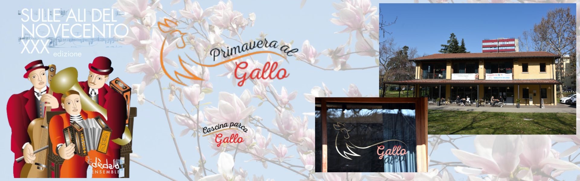 Primavera al gallo 2025 - Dedalo ensemble