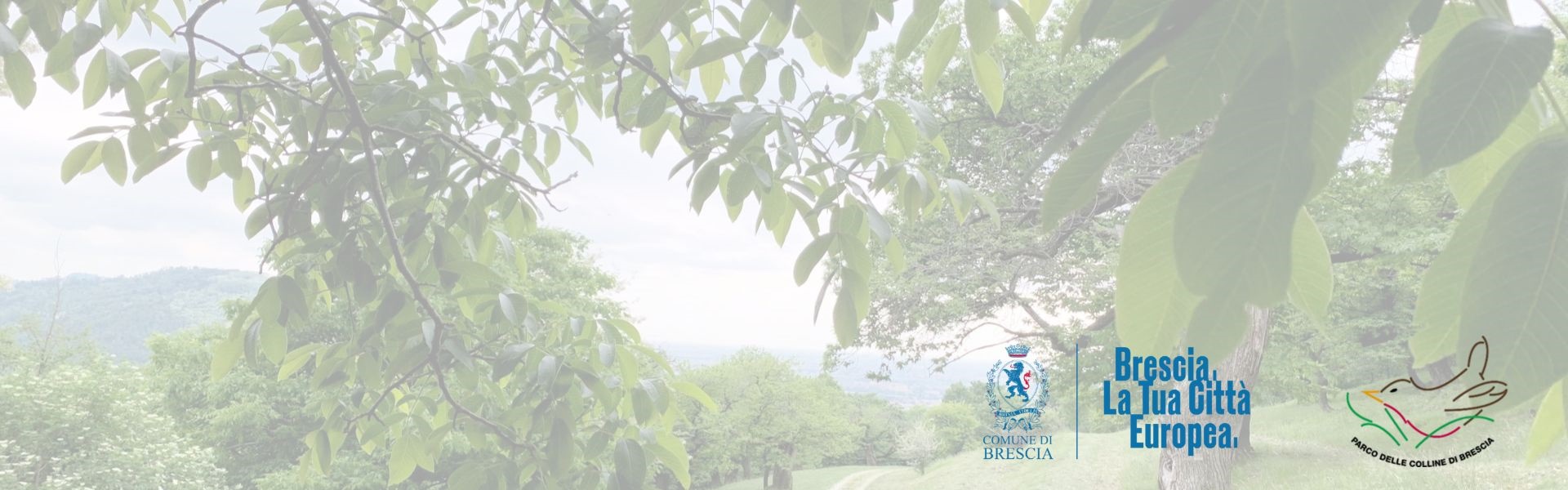 Seminario castagneto