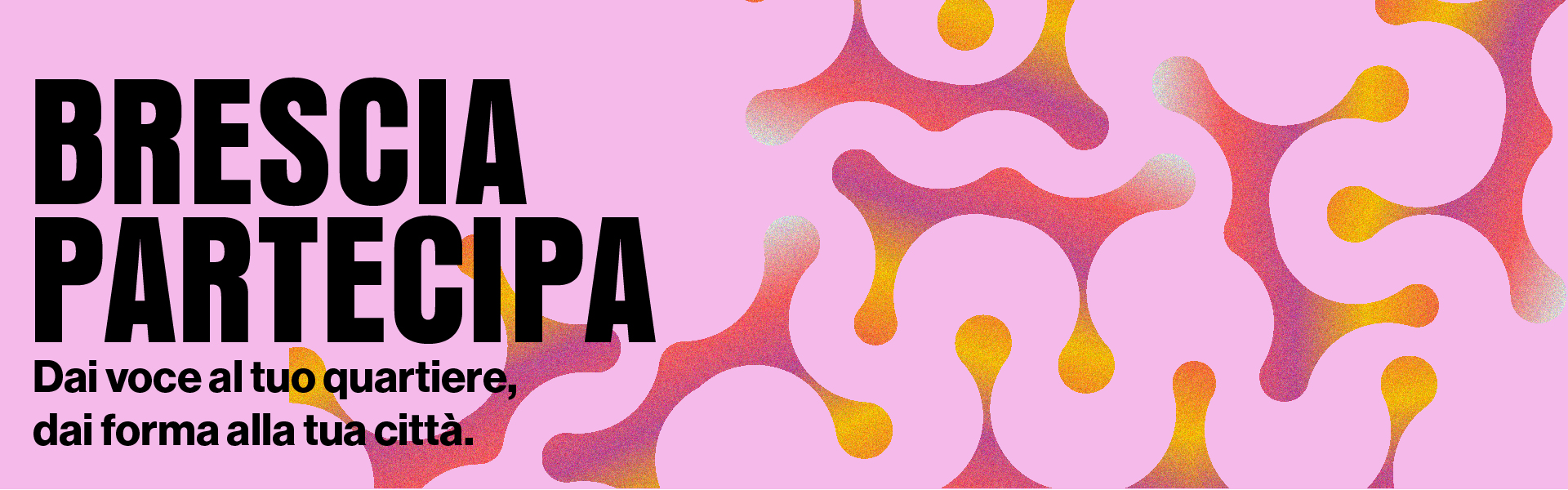 Bilancio partecipativo