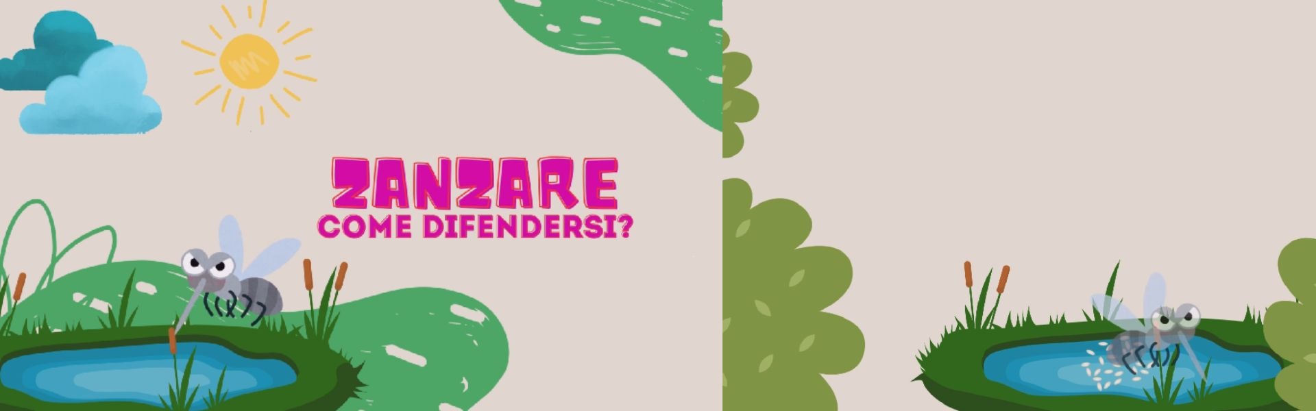 Zanzara tigre - Prosecuzione campagna