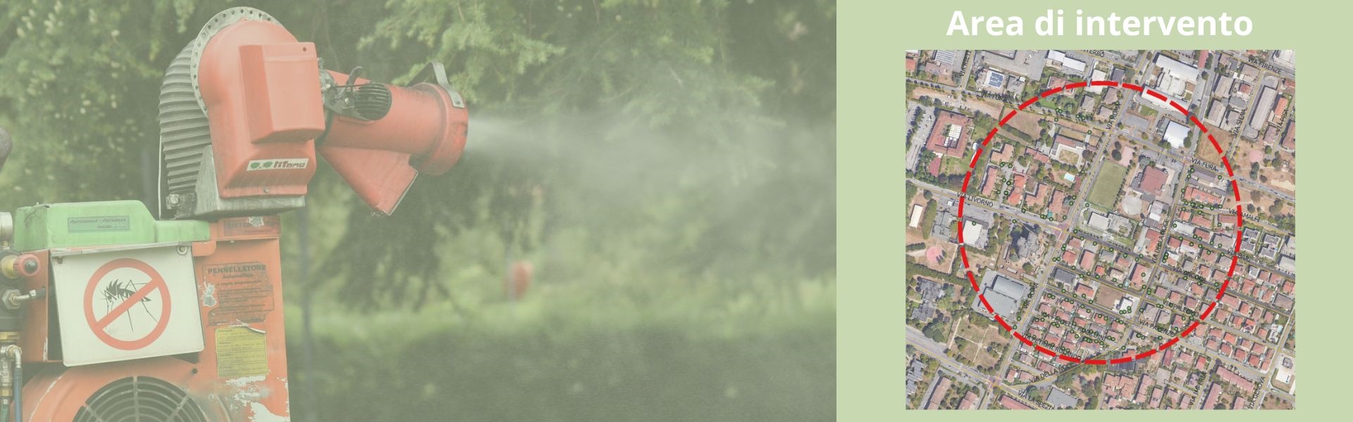 Zanzara tigre sospetto Chikungunya via Ancona lug-ago 25