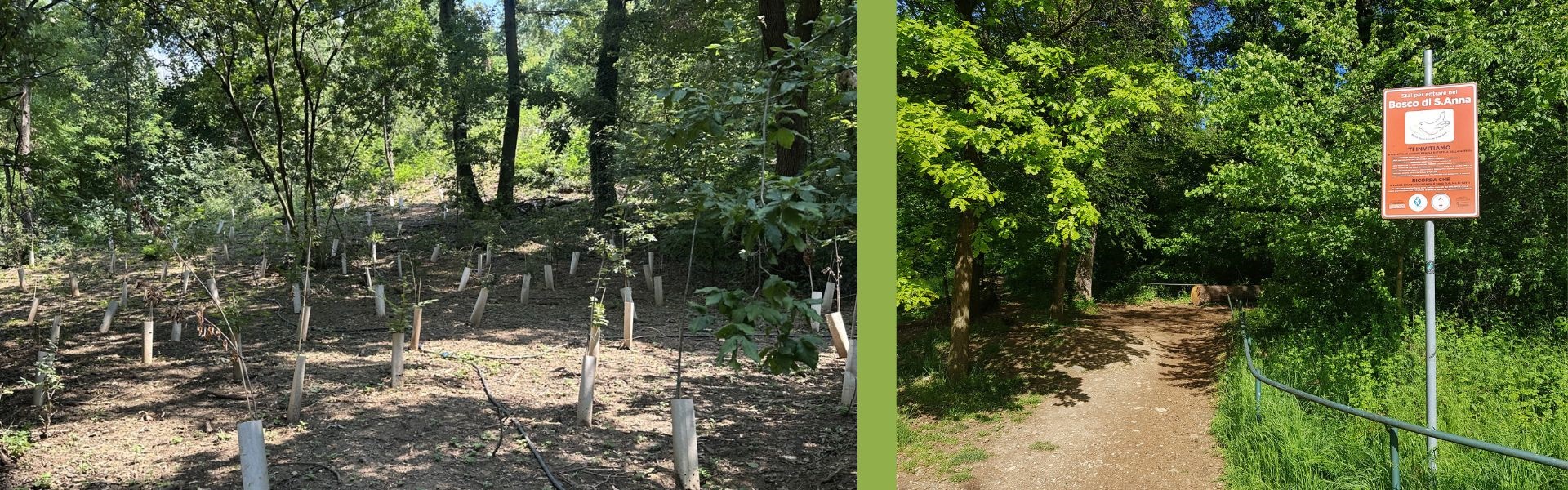 Interventi forestali bosco sant'Anna