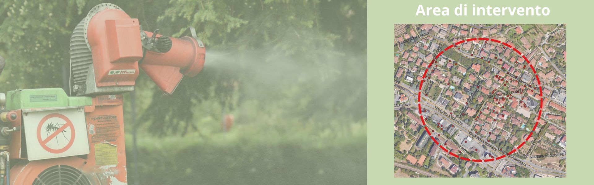 Zanzara tigre Dengue-Chikungunya viale Bornata