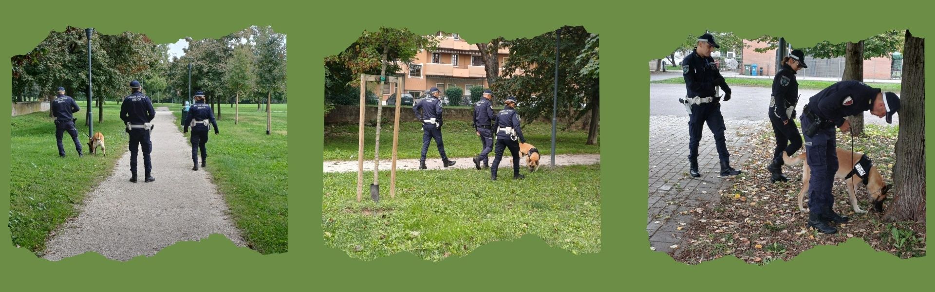Attività di controllo nei parchi cittadini