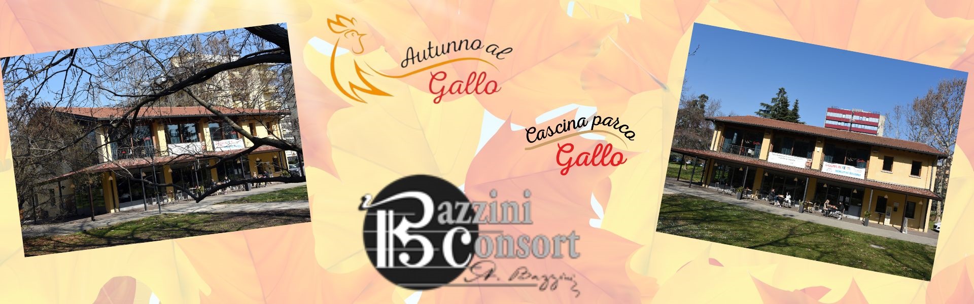 Autunno al Gallo 2025 - Bazzini Consort