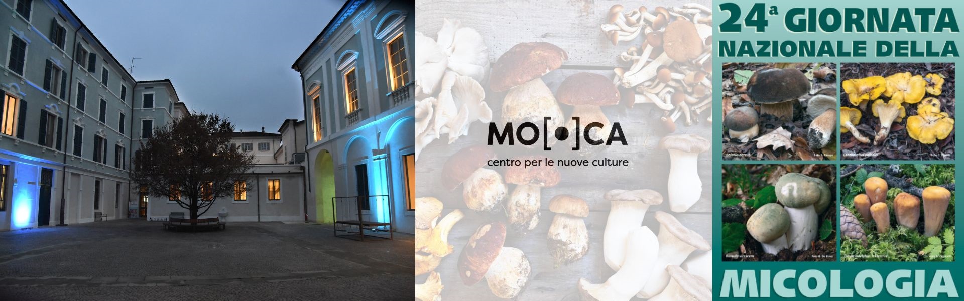 Moca 2025 - Mostra micologica BS 2025 - 12 ottobre
