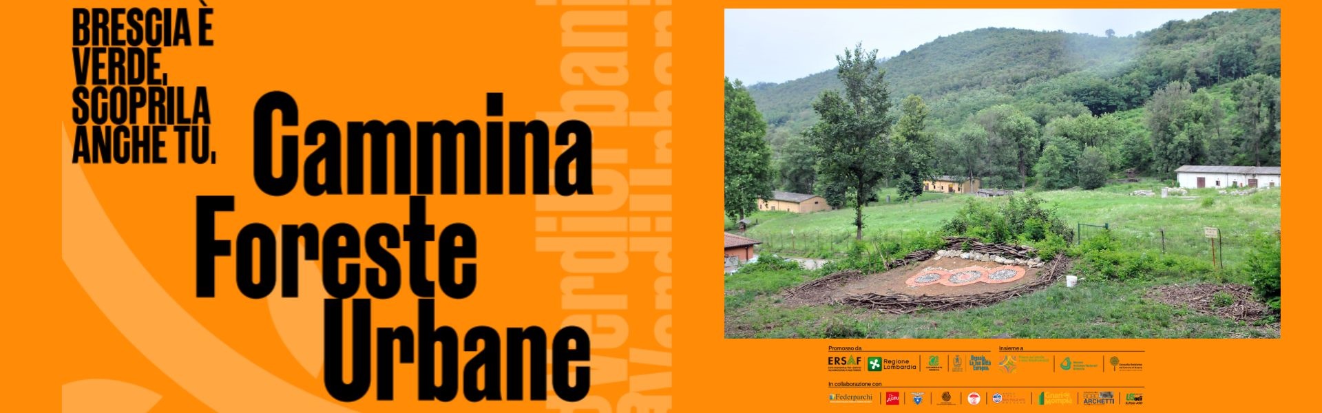 Trekking verde urbano - 22 novembre