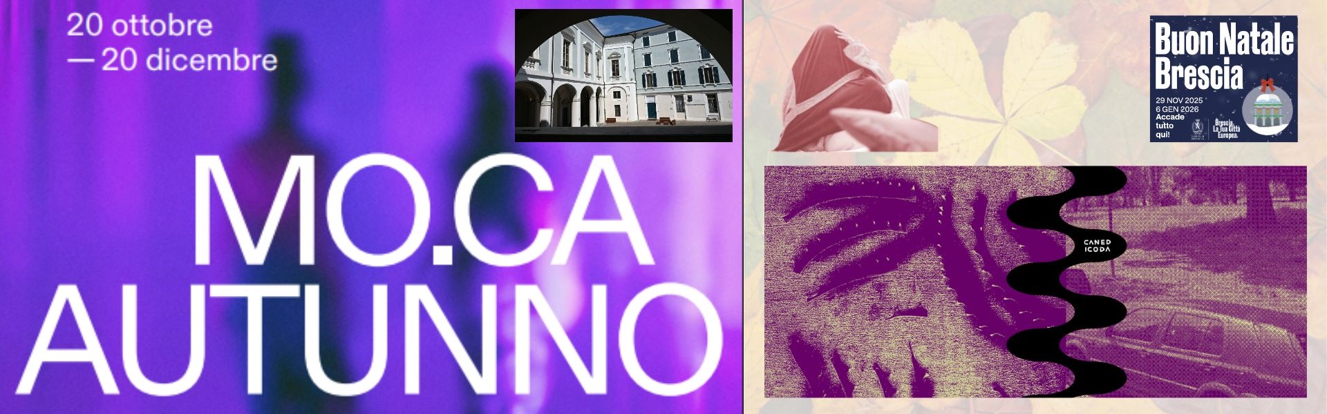 Moca Autunno 2025 - Canedicola