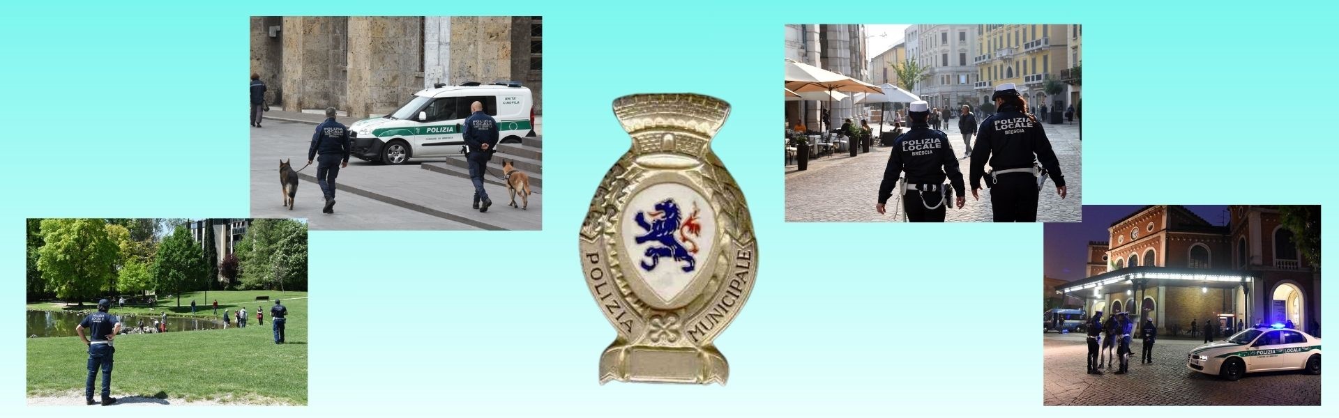 Polizia Giudiziaria - Attività 2025