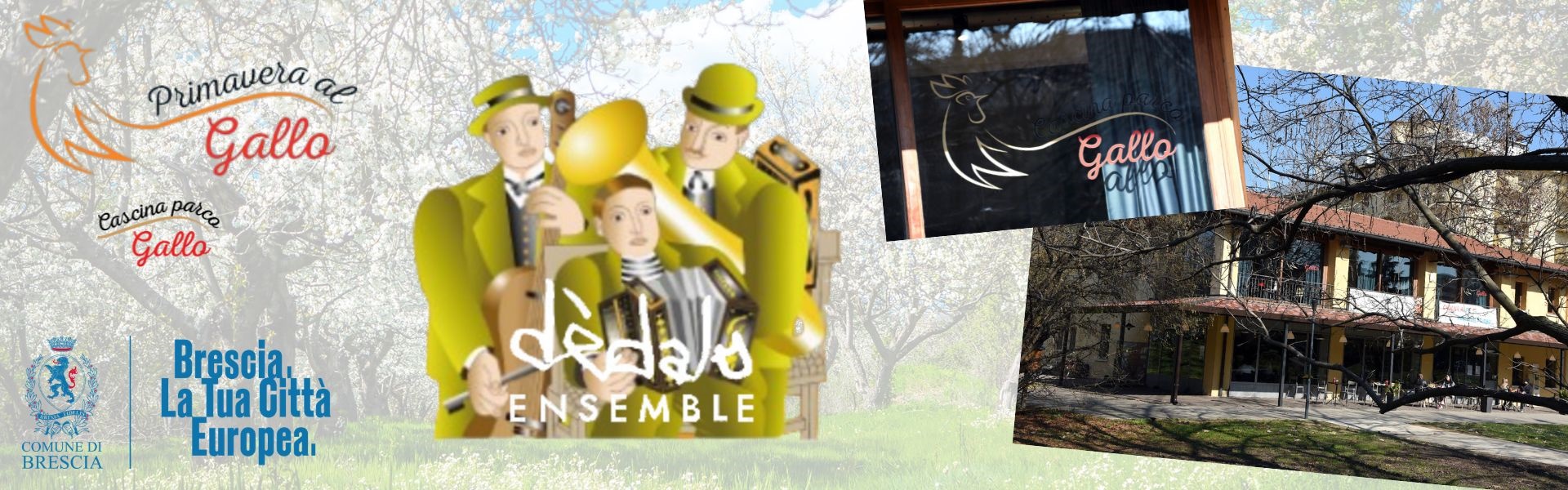 Primavera al Gallo 2026 - Dedalo ensemble