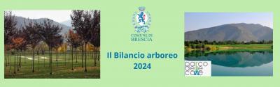 Bilancio arboreo 2024