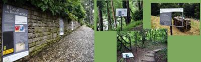 Parco della Biodiversità