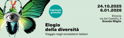 Mostra Elogio della diversità